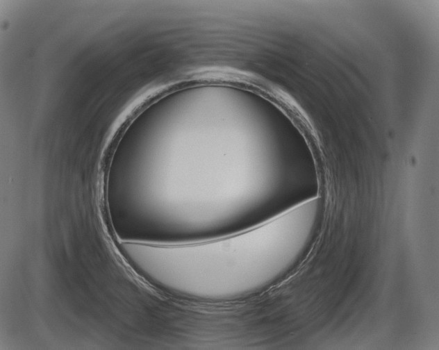 X0000086321376200703300854