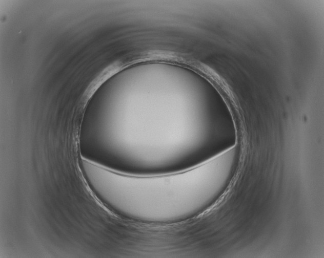 X0000086321377200703300854