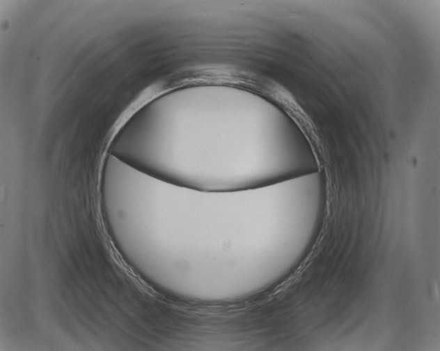 X0000086321378200703300854