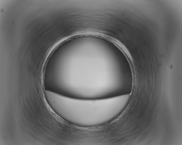 X0000086321388200703300854