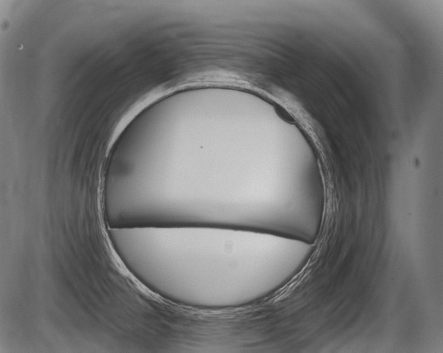 X0000086321390200703300854