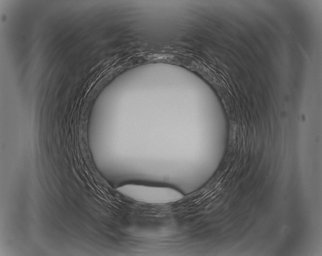 X0000086321393200703300853