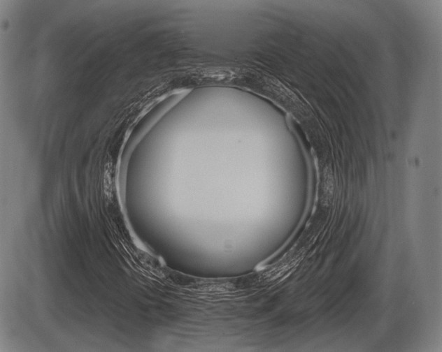 X0000086321394200703300853