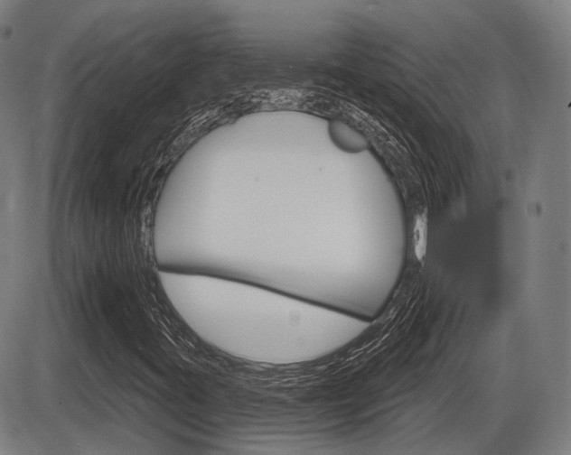 X0000086321395200703300853