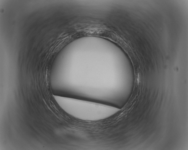 X0000086321396200703300853