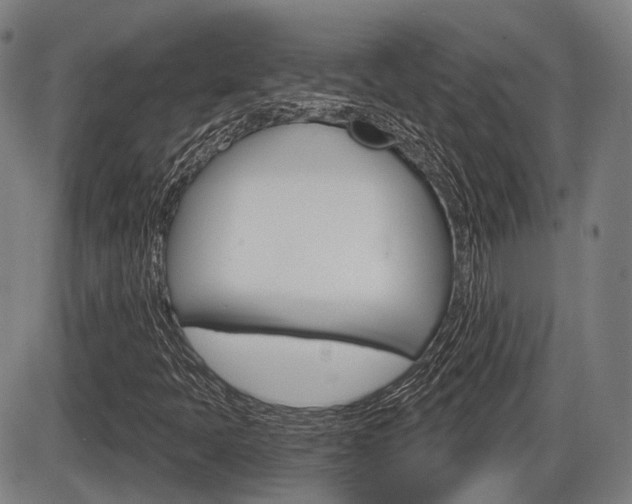 X0000086321397200703300853