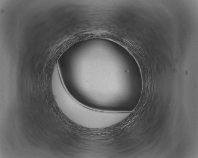 X0000086321398200703300853