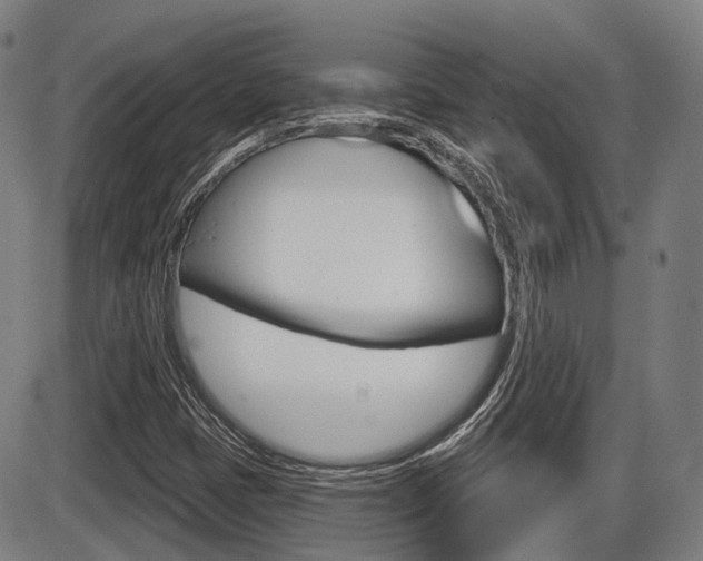 X0000086321401200703300853