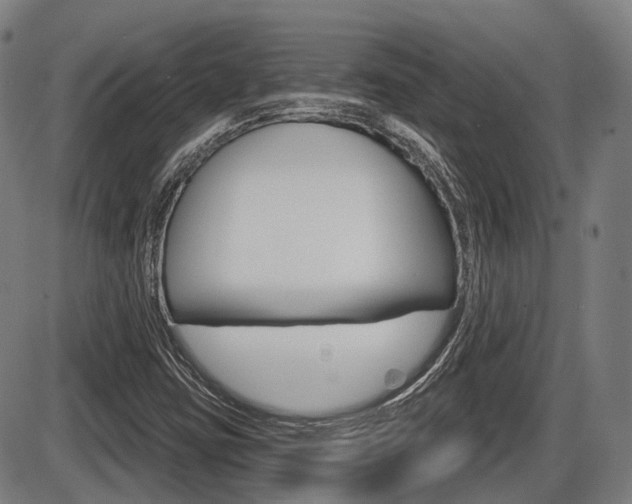 X0000086321403200703300853