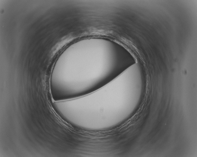 X0000086321404200703300853