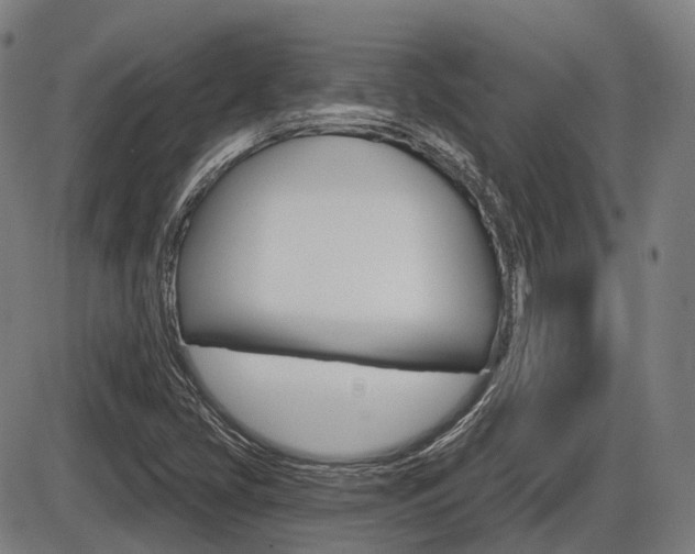X0000086321405200703300853