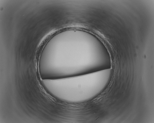 X0000086321408200703300853