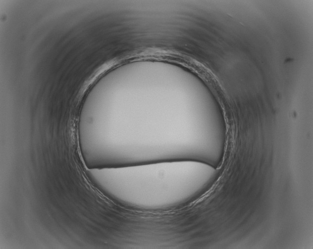X0000086321409200703300853