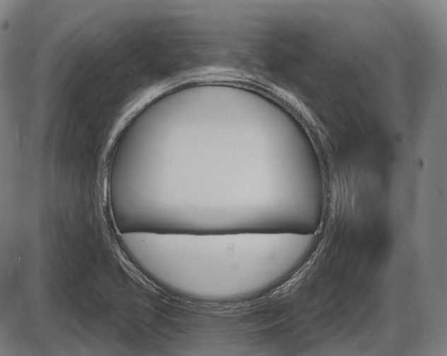 X0000086321413200703300853