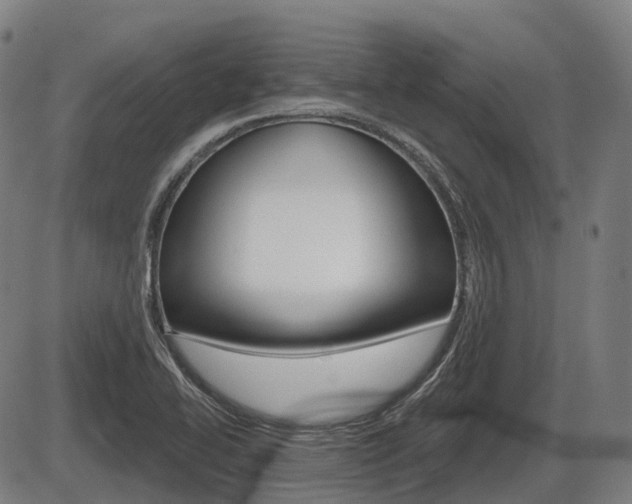 X0000086321414200703300853