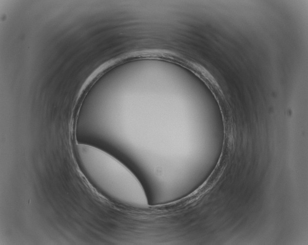 X0000086321420200703300853