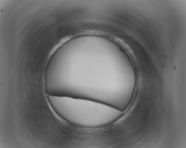 X0000086321425200703300853