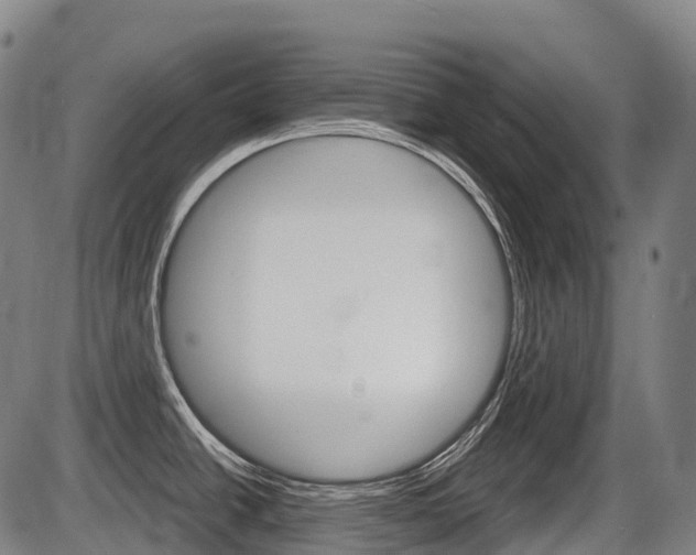 X0000086321438200703300854