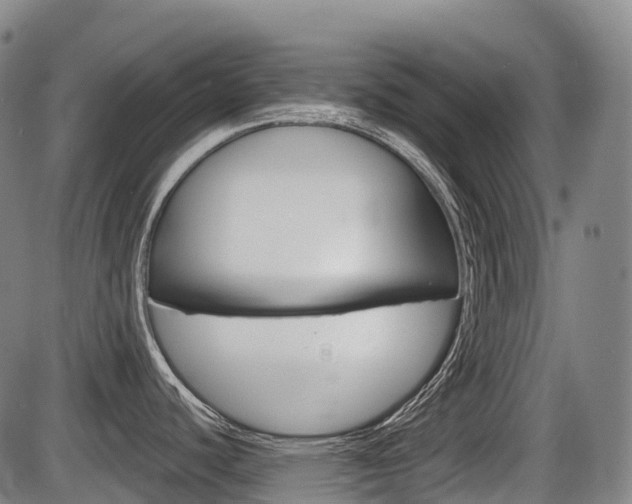 X0000086321440200703300854