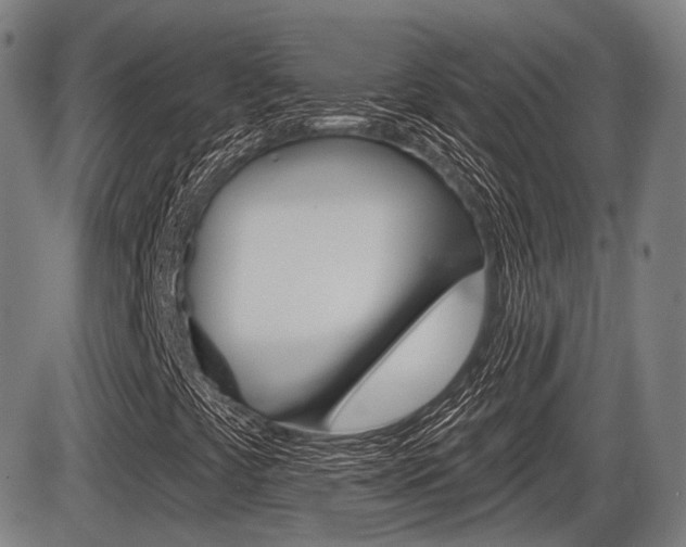 X0000086321441200703300853