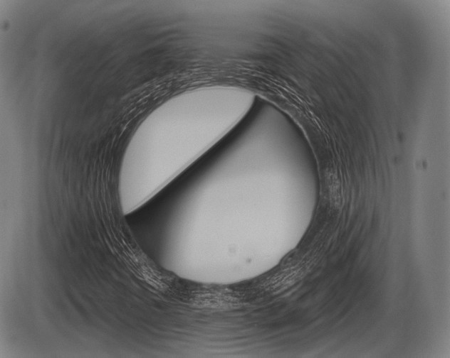 X0000086321442200703300853