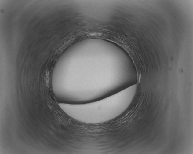 X0000086321443200703300853