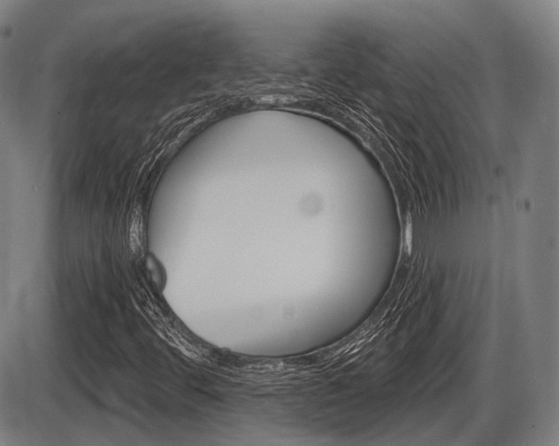 X0000086321444200703300853