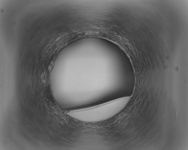 X0000086321445200703300853