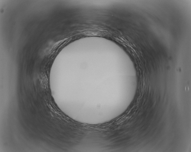 X0000086321446200703300853