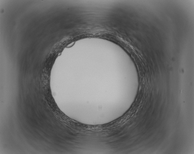 X0000086321447200703300853