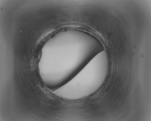 X0000086321448200703300853
