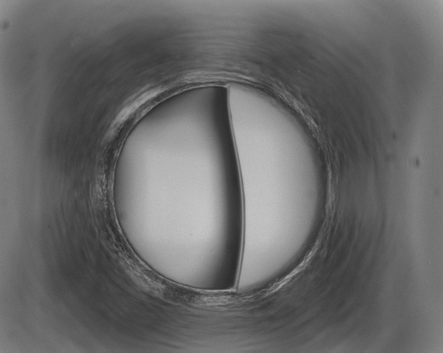 X0000086321453200703300853