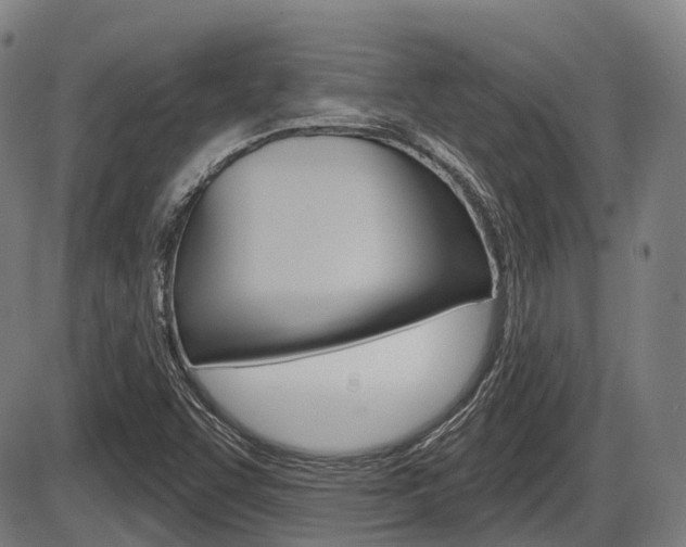 X0000086321455200703300853