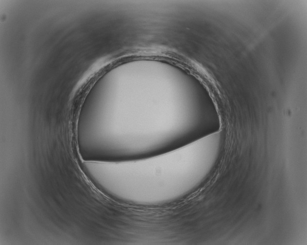 X0000086321456200703300853