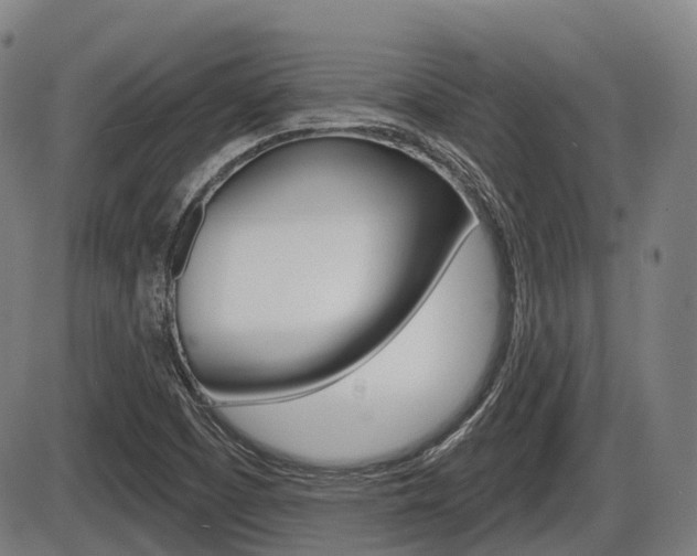 X0000086321457200703300853