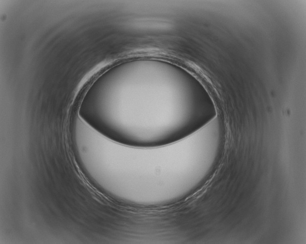 X0000086321458200703300853