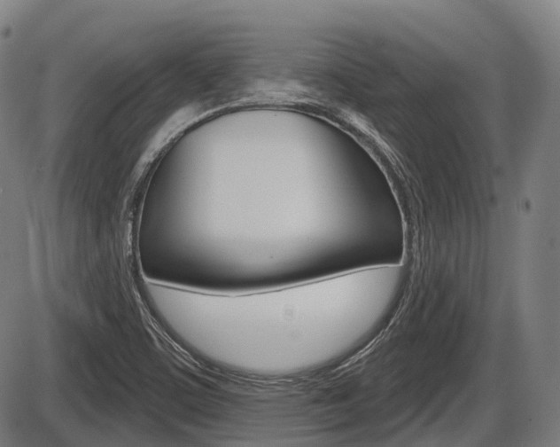 X0000086321459200703300853