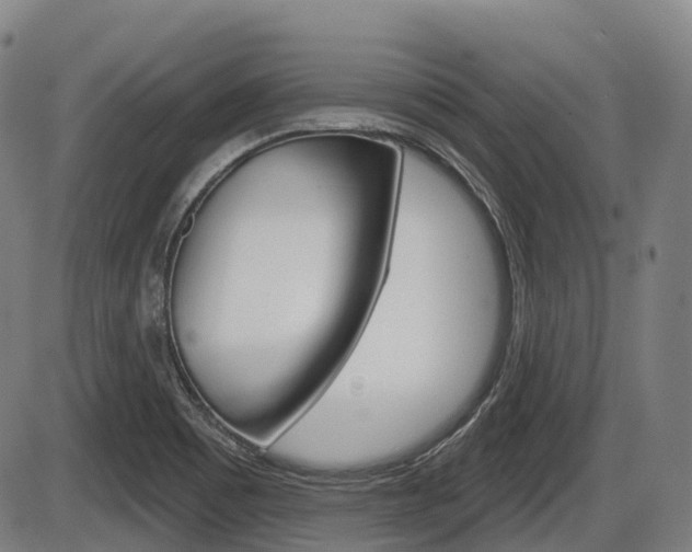 X0000086321465200703300852