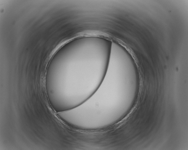 X0000086321473200703300852