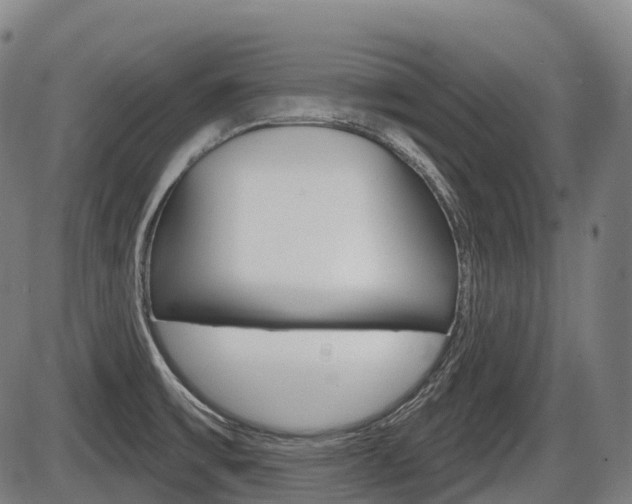 X0000086321475200703300852