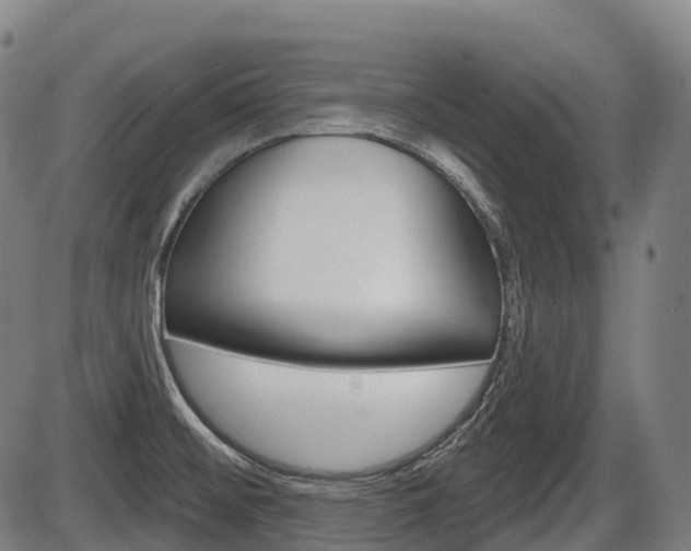 X0000086321476200703300852