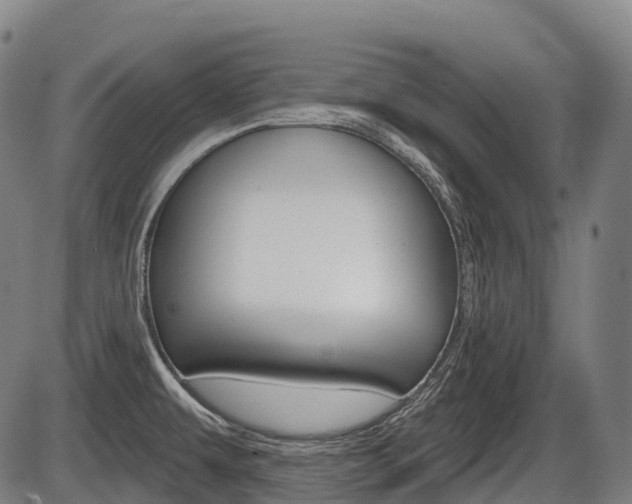 X0000086321479200703300852