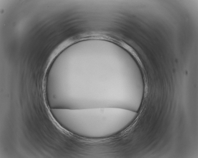 X0000086321482200703300852