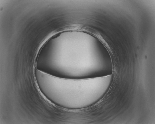 X0000086321484200703300852