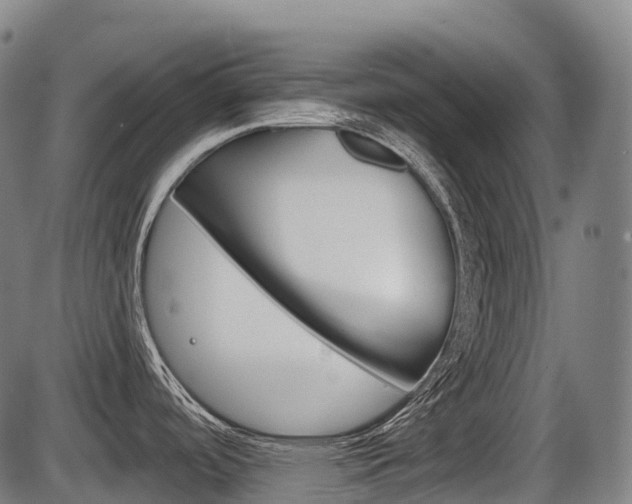 X0000086321488200703300852