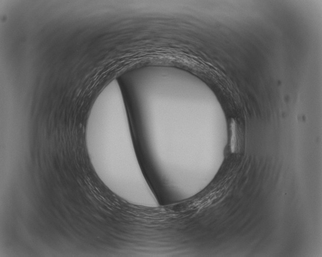X0000086321491200703300851