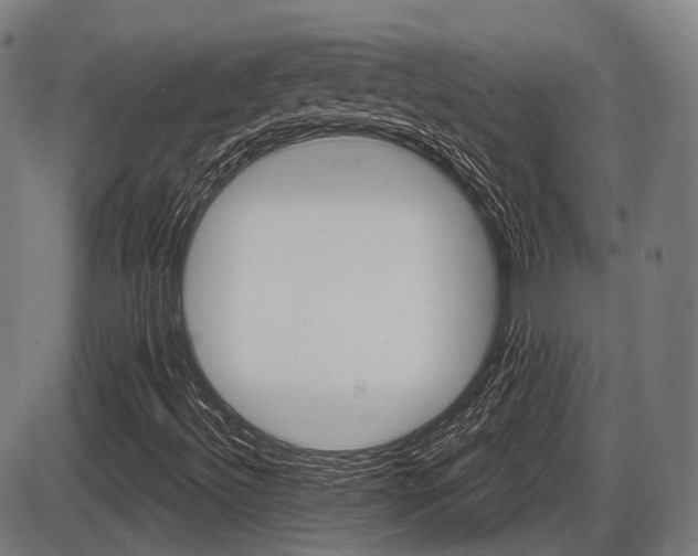X0000086321492200703300851