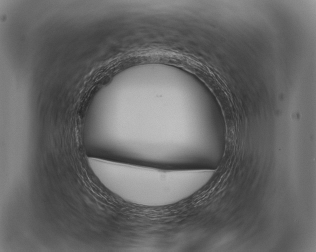 X0000086321493200703300851