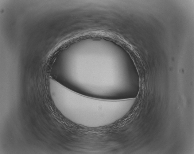 X0000086321496200703300851
