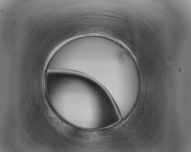 X0000086321516200703300852